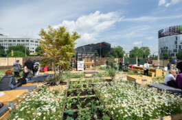 FOLKWANG UND DIE STADT