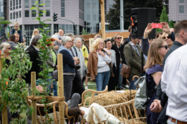 FOLKWANG UND DIE STADT