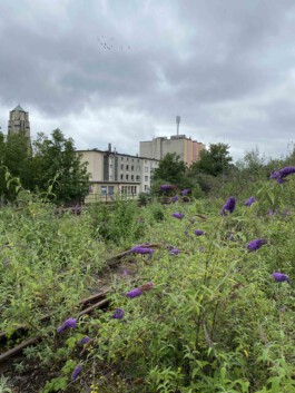 FOLKWANG UND DIE STADT
