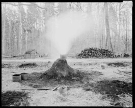 FOLKWANG UND DIE STADT