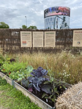 FOLKWANG UND DIE STADT 