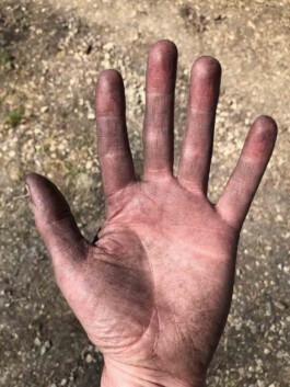 FOLKWANG UND DIE STADT