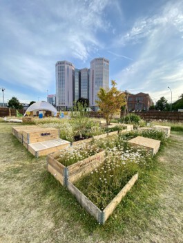 FOLKWANG UND DIE STADT 