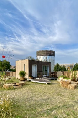 FOLKWANG UND DIE STADT 