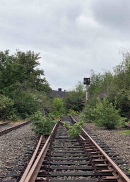 FOLKWANG UND DIE STADT