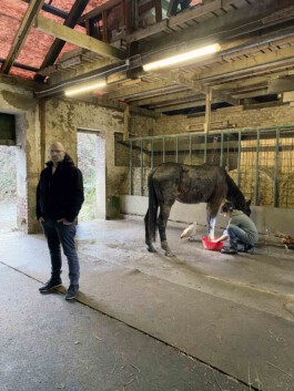 FOLKWANG UND DIE STADT 