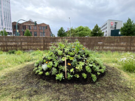 FOLKWANG UND DIE STADT 