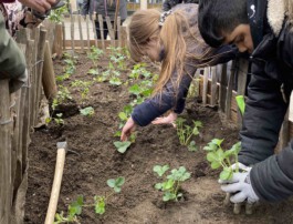 FOLKWANG UND DIE STADT 