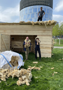 FOLKWANG UND DIE STADT 