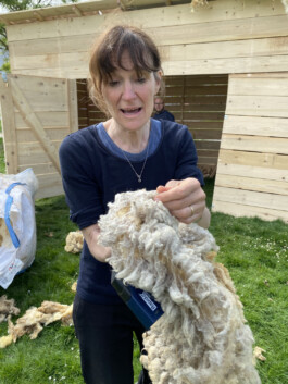 FOLKWANG UND DIE STADT 