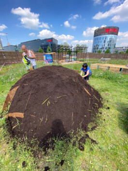 FOLKWANG UND DIE STADT 