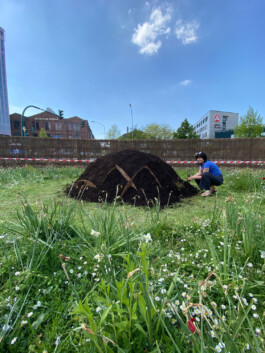 FOLKWANG UND DIE STADT 