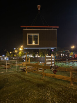 FOLKWANG UND DIE STADT 