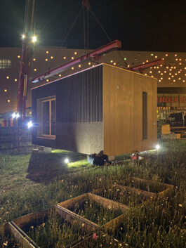 FOLKWANG UND DIE STADT 