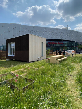 FOLKWANG UND DIE STADT 