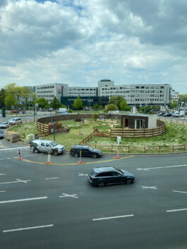 FOLKWANG UND DIE STADT 