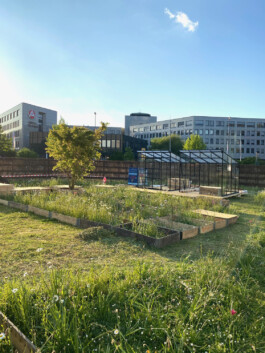 FOLKWANG UND DIE STADT 