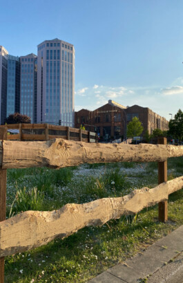 FOLKWANG UND DIE STADT 