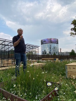 FOLKWANG UND DIE STADT 