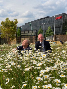 FOLKWANG UND DIE STADT 