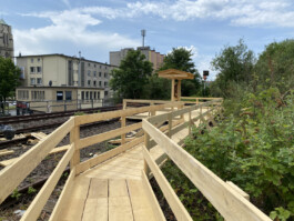 FOLKWANG UND DIE STADT