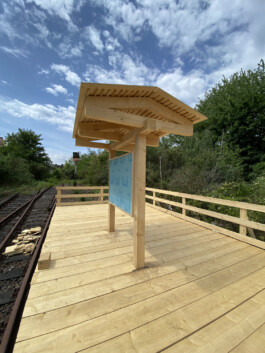 FOLKWANG UND DIE STADT