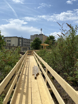 FOLKWANG UND DIE STADT