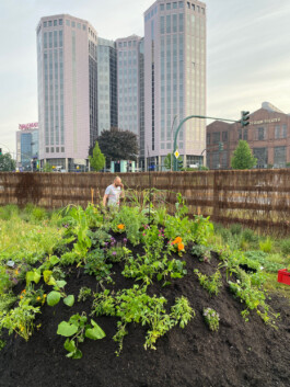 FOLKWANG UND DIE STADT 