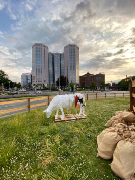FOLKWANG UND DIE STADT 