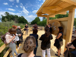 FOLKWANG UND DIE STADT