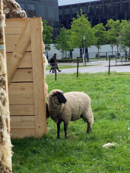 FOLKWANG UND DIE STADT 