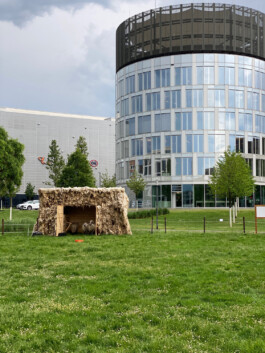 FOLKWANG UND DIE STADT 