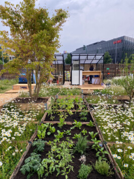 FOLKWANG UND DIE STADT 