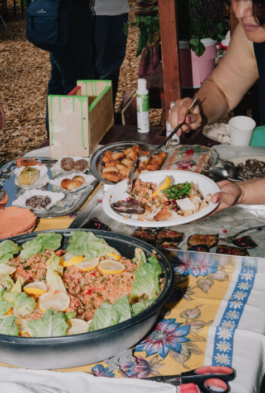 FOLKWANG UND DIE STADT