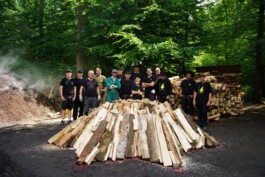 FOLKWANG UND DIE STADT