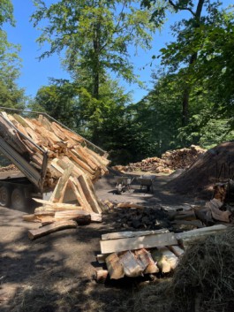 FOLKWANG UND DIE STADT