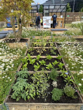 FOLKWANG UND DIE STADT 