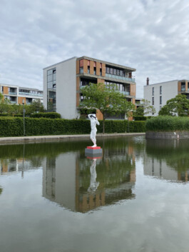 FOLKWANG UND DIE STADT 