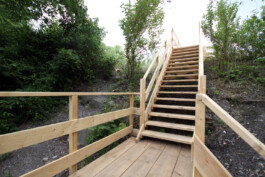 FOLKWANG UND DIE STADT