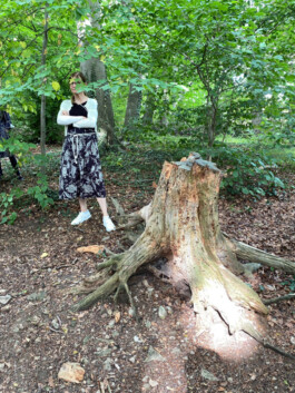 FOLKWANG UND DIE STADT 